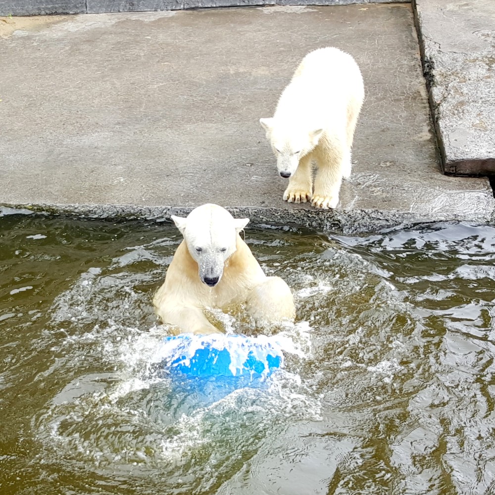 Zoo Rostock